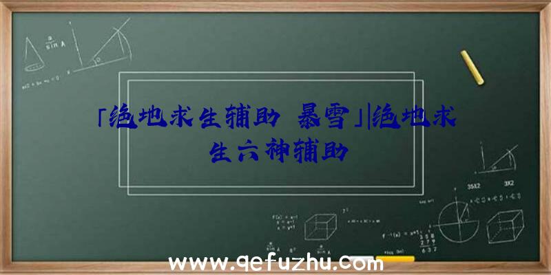 「绝地求生辅助